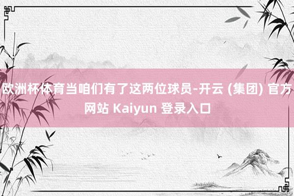 欧洲杯体育当咱们有了这两位球员-开云 (集团) 官方网站 Kaiyun 登录入口