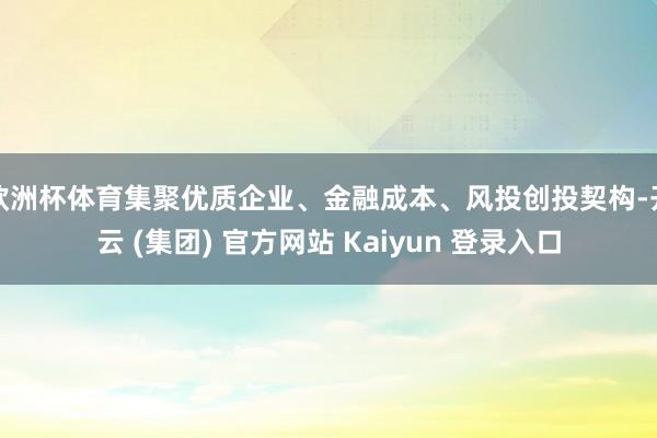 欧洲杯体育集聚优质企业、金融成本、风投创投契构-开云 (集团) 官方网站 Kaiyun 登录入口