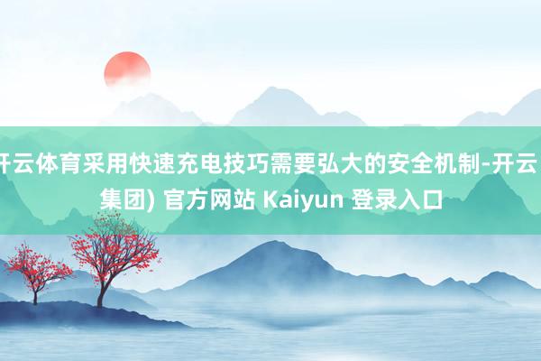 开云体育采用快速充电技巧需要弘大的安全机制-开云 (集团) 官方网站 Kaiyun 登录入口