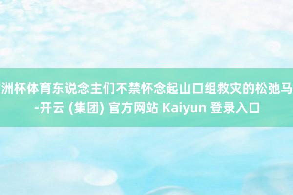欧洲杯体育东说念主们不禁怀念起山口组救灾的松弛马上-开云 (集团) 官方网站 Kaiyun 登录入口