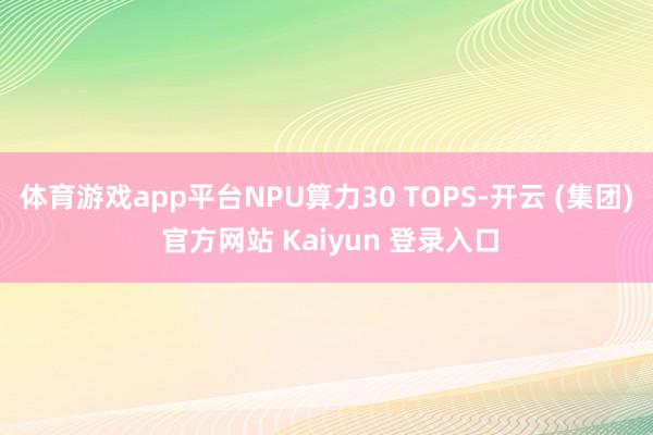 体育游戏app平台NPU算力30 TOPS-开云 (集团) 官方网站 Kaiyun 登录入口