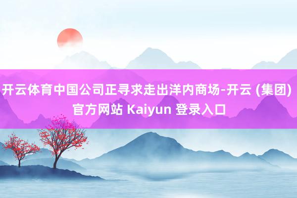 开云体育中国公司正寻求走出洋内商场-开云 (集团) 官方网站 Kaiyun 登录入口