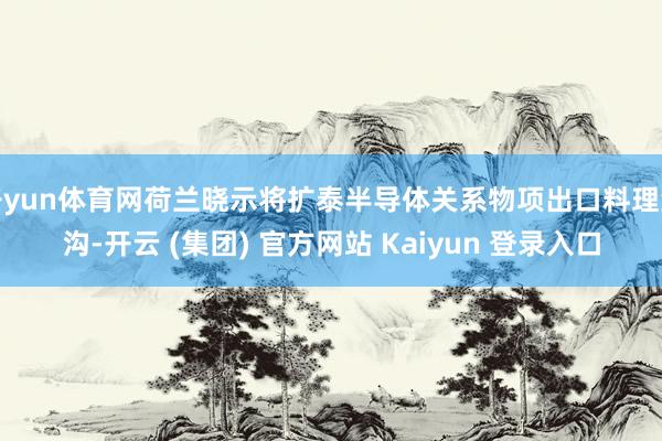 开yun体育网荷兰晓示将扩泰半导体关系物项出口料理鸿沟-开云 (集团) 官方网站 Kaiyun 登录入口
