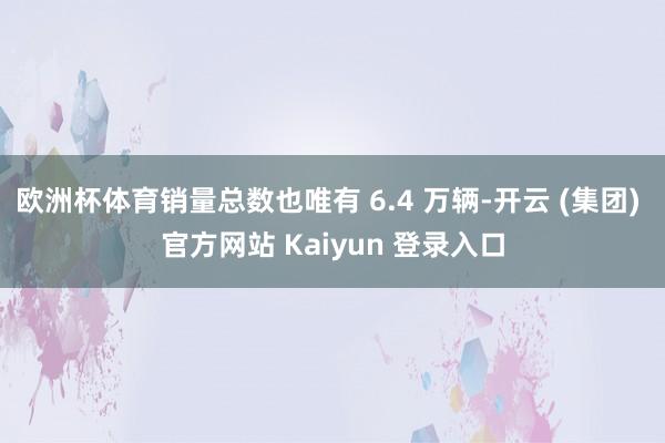 欧洲杯体育销量总数也唯有 6.4 万辆-开云 (集团) 官方网站 Kaiyun 登录入口