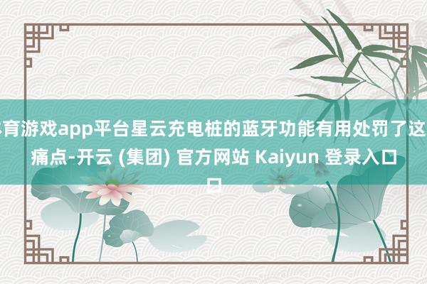 体育游戏app平台星云充电桩的蓝牙功能有用处罚了这一痛点-开云 (集团) 官方网站 Kaiyun 登录入口