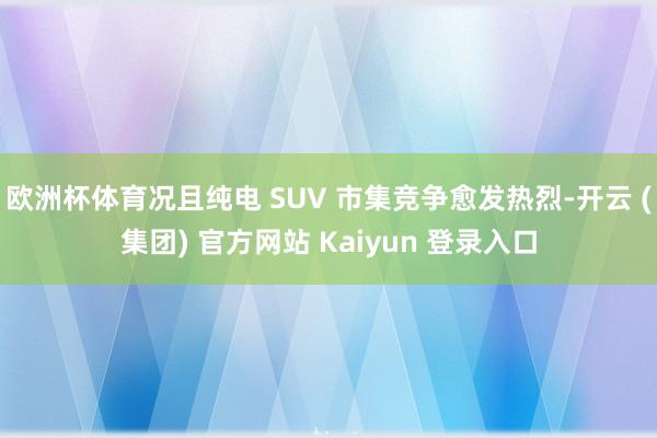欧洲杯体育况且纯电 SUV 市集竞争愈发热烈-开云 (集团) 官方网站 Kaiyun 登录入口