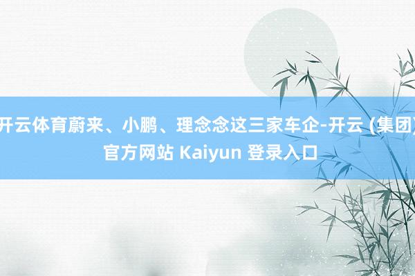开云体育蔚来、小鹏、理念念这三家车企-开云 (集团) 官方网站 Kaiyun 登录入口