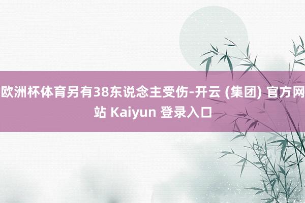 欧洲杯体育另有38东说念主受伤-开云 (集团) 官方网站 Kaiyun 登录入口