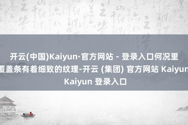 开云(中国)Kaiyun·官方网站 - 登录入口何况里面的镀铬覆盖条有着细致的纹理-开云 (集团) 官方网站 Kaiyun 登录入口