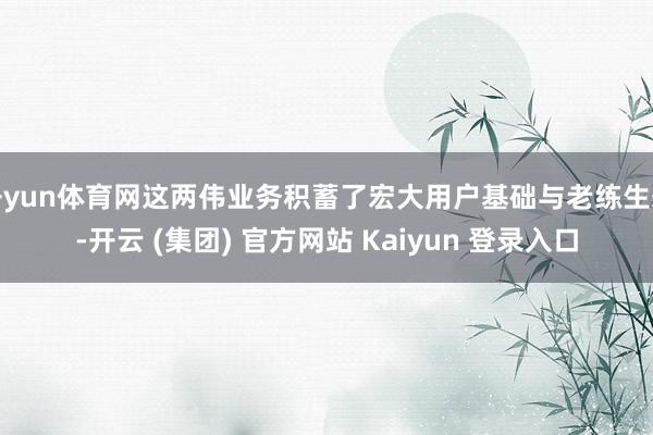 开yun体育网这两伟业务积蓄了宏大用户基础与老练生态-开云 (集团) 官方网站 Kaiyun 登录入口