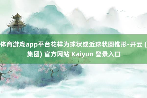 体育游戏app平台花样为球状或近球状圆锥形-开云 (集团) 官方网站 Kaiyun 登录入口