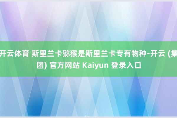 开云体育 斯里兰卡猕猴是斯里兰卡专有物种-开云 (集团) 官方网站 Kaiyun 登录入口