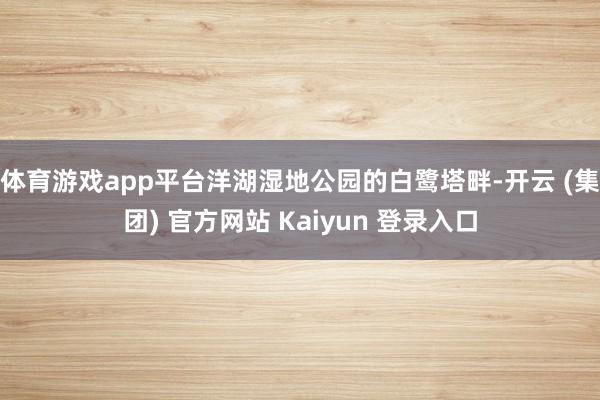 体育游戏app平台洋湖湿地公园的白鹭塔畔-开云 (集团) 官方网站 Kaiyun 登录入口
