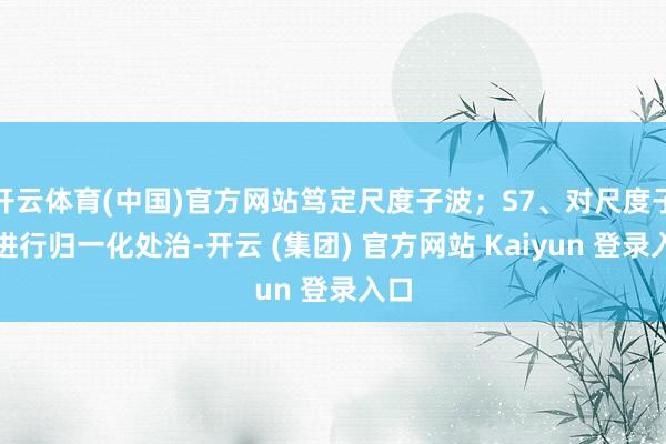 开云体育(中国)官方网站笃定尺度子波;S7、对尺度子波进行归一化处治-开云 (集团) 官方网站 Kaiyun 登录入口
