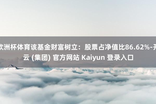 欧洲杯体育该基金财富树立：股票占净值比86.62%-开云 (集团) 官方网站 Kaiyun 登录入口