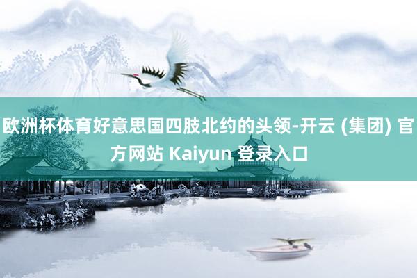 欧洲杯体育好意思国四肢北约的头领-开云 (集团) 官方网站 Kaiyun 登录入口