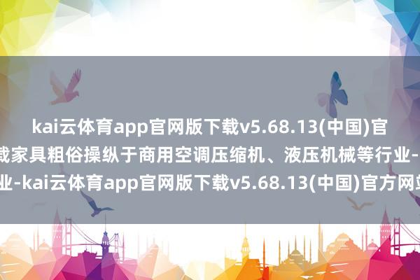 kai云体育app官网版下载v5.68.13(中国)官方网站·IOS/手机版APP下载家具粗俗操纵于商用空调压缩机、液压机械等行业-kai云体育app官网版下载v5.68.13(中国)官方网站·IOS/手机版APP下载