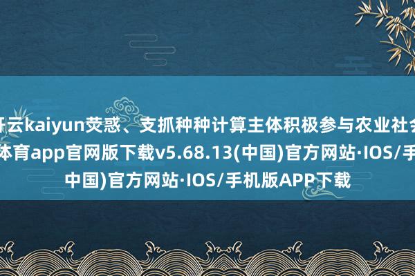 开云kaiyun荧惑、支抓种种计算主体积极参与农业社会化管事-kai云体育app官网版下载v5.68.13(中国)官方网站·IOS/手机版APP下载