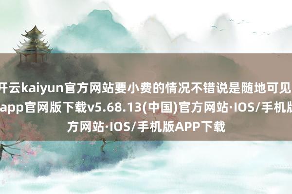 开云kaiyun官方网站要小费的情况不错说是随地可见-kai云体育app官网版下载v5.68.13(中国)官方网站·IOS/手机版APP下载