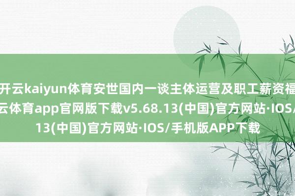 开云kaiyun体育安世国内一谈主体运营及职工薪资福利一切平时-kai云体育app官网版下载v5.68.13(中国)官方网站·IOS/手机版APP下载